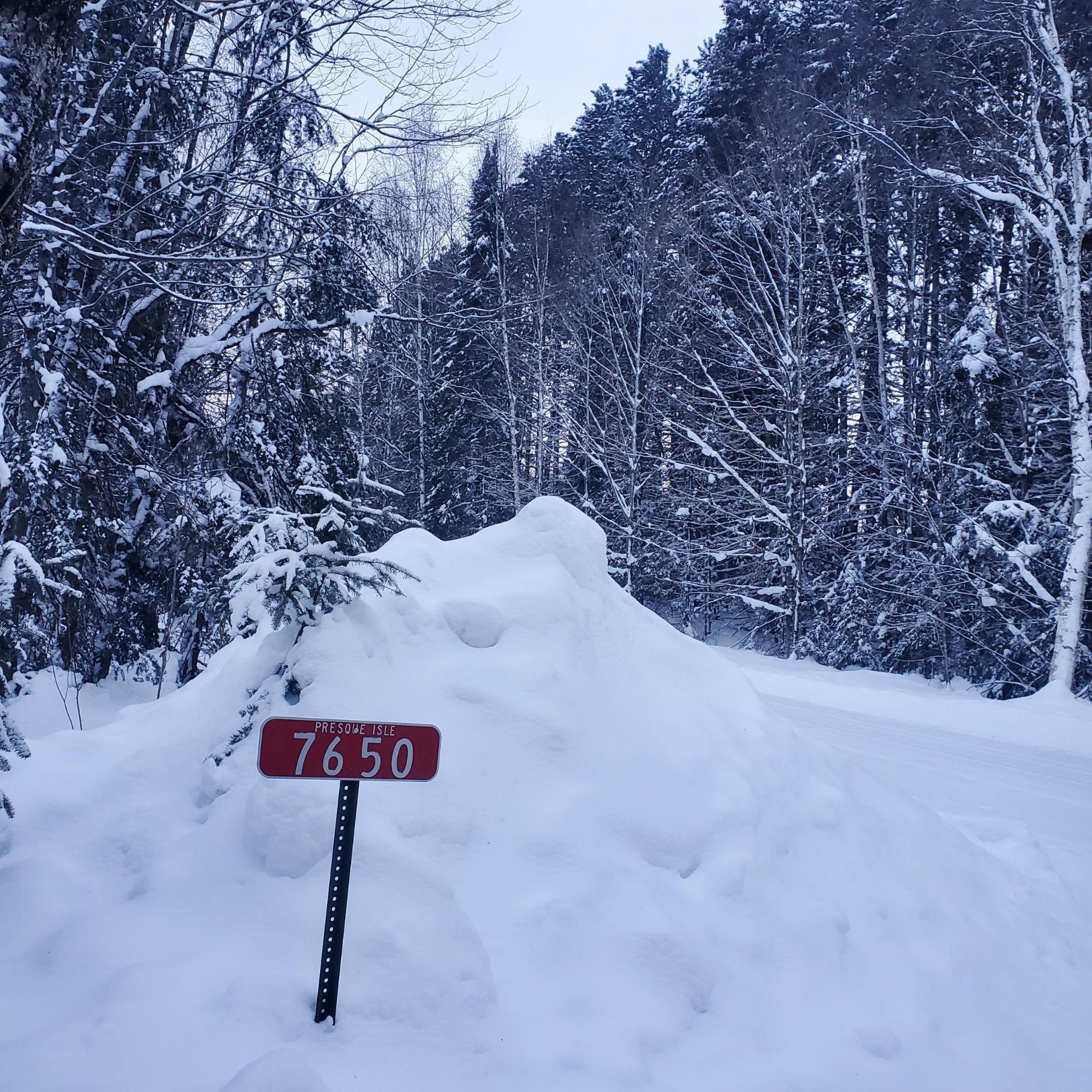 7650 ANNABELLE LAKE RD