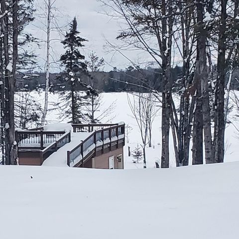 7650 ANNABELLE LAKE RD Presque Isle WI 54557