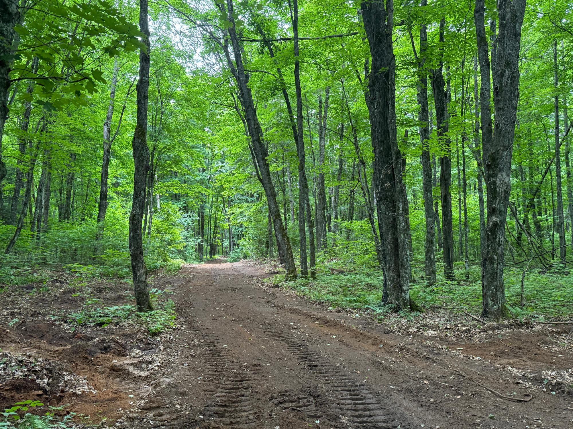 25 A On BEARSKULL RD