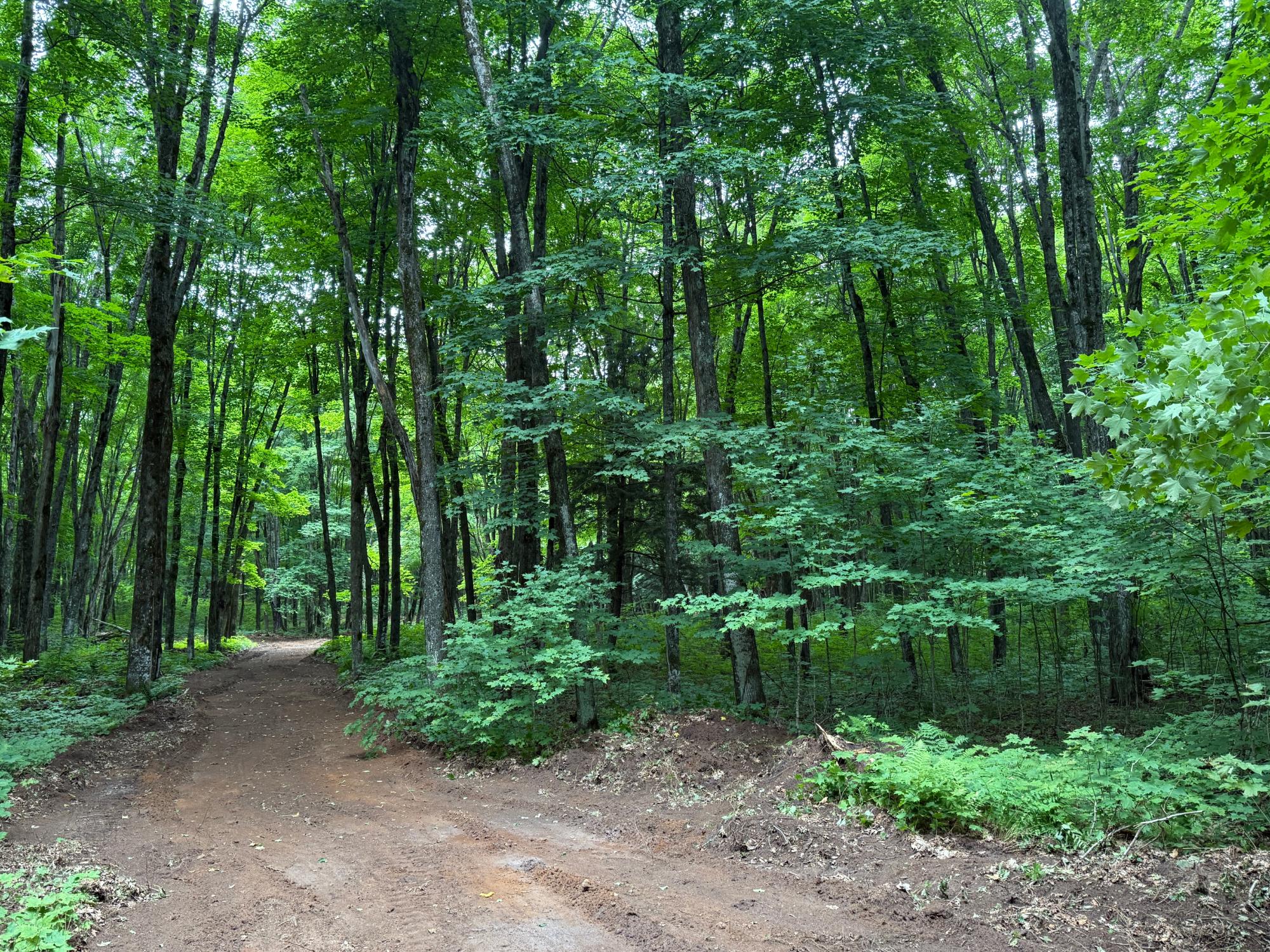 25 A On BEARSKULL RD