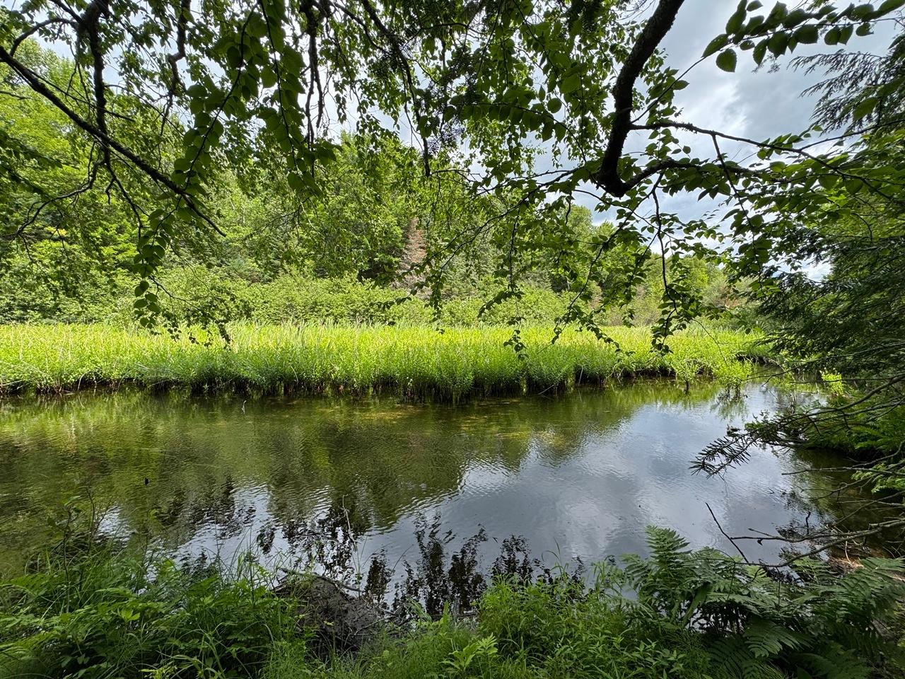 1n2 666 MERCER LAKE CR S