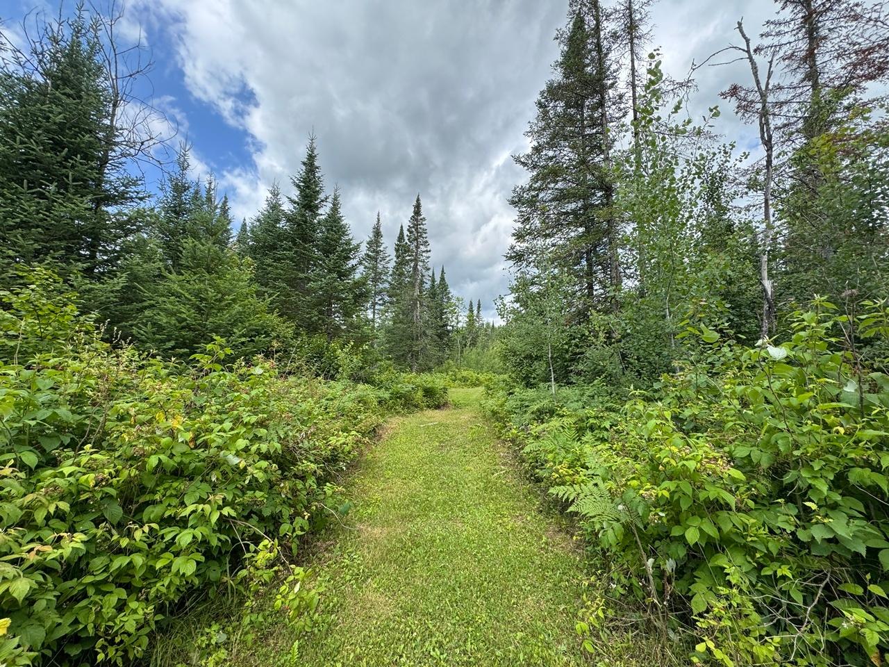 1n2 666 MERCER LAKE CR S