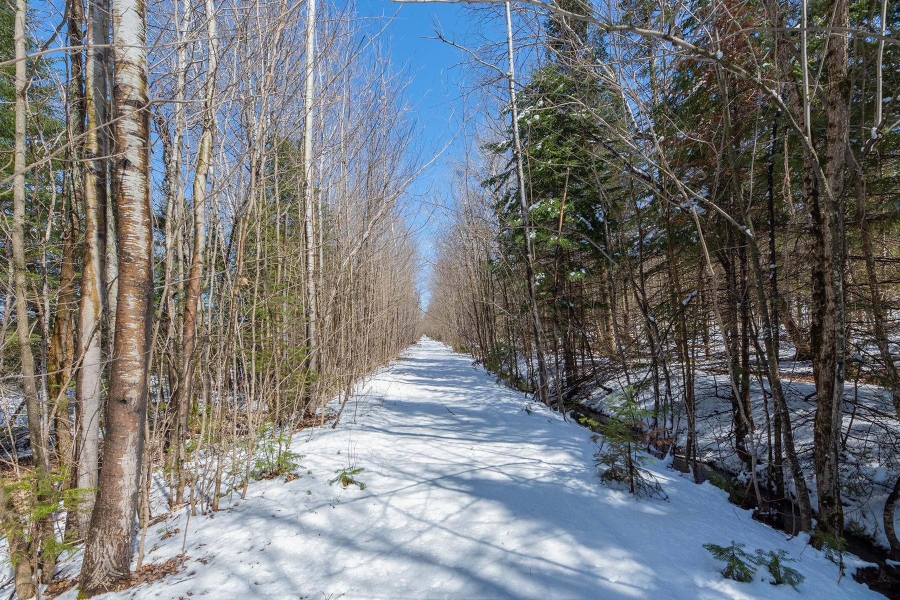 56.97 ac HWY 77