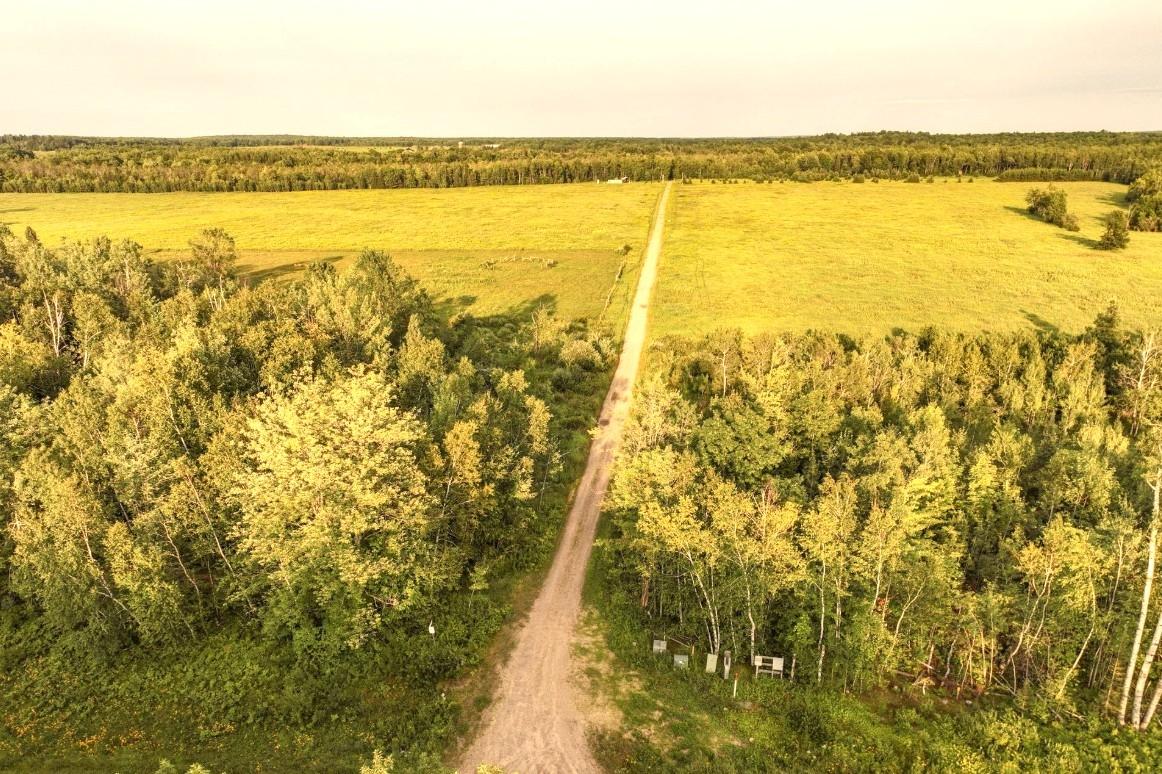 ON SURING LN 24+ ACRES