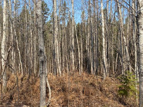 NEAR MAPLE RD Phillips WI 54555