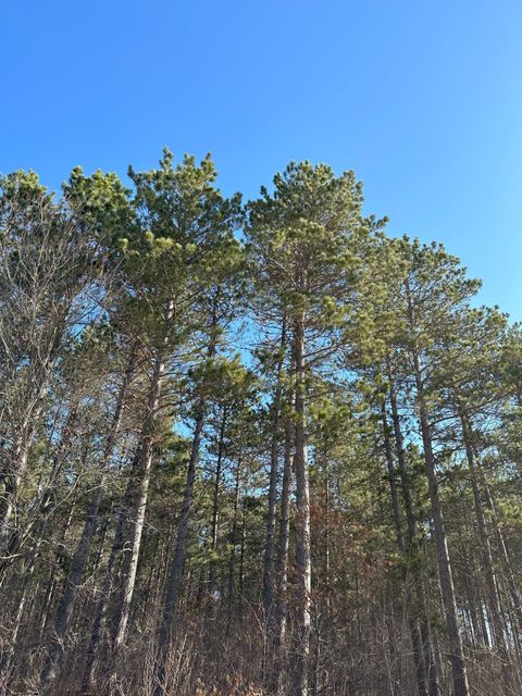 ON SPRING CREEK DR 4080-5 Tomahawk WI 54487