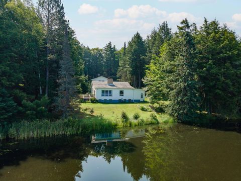 127 BASS LAKE RD Iron River MI 49935