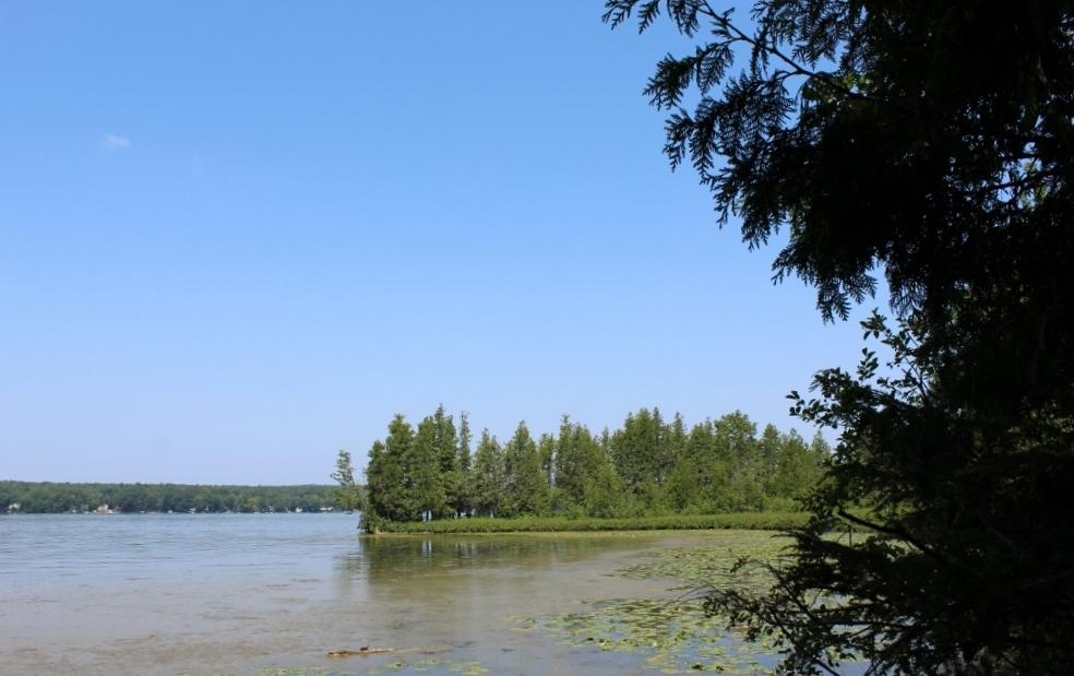 Lot 4 FOREST LN
