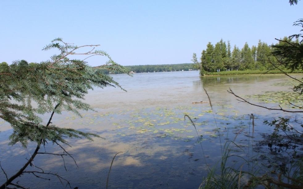 Lot 4 FOREST LN