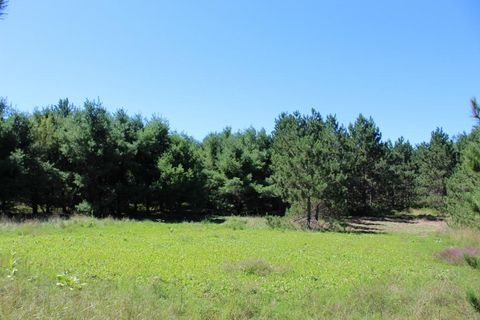 37 Ac. HWY 8 Armstrong Creek WI 54103