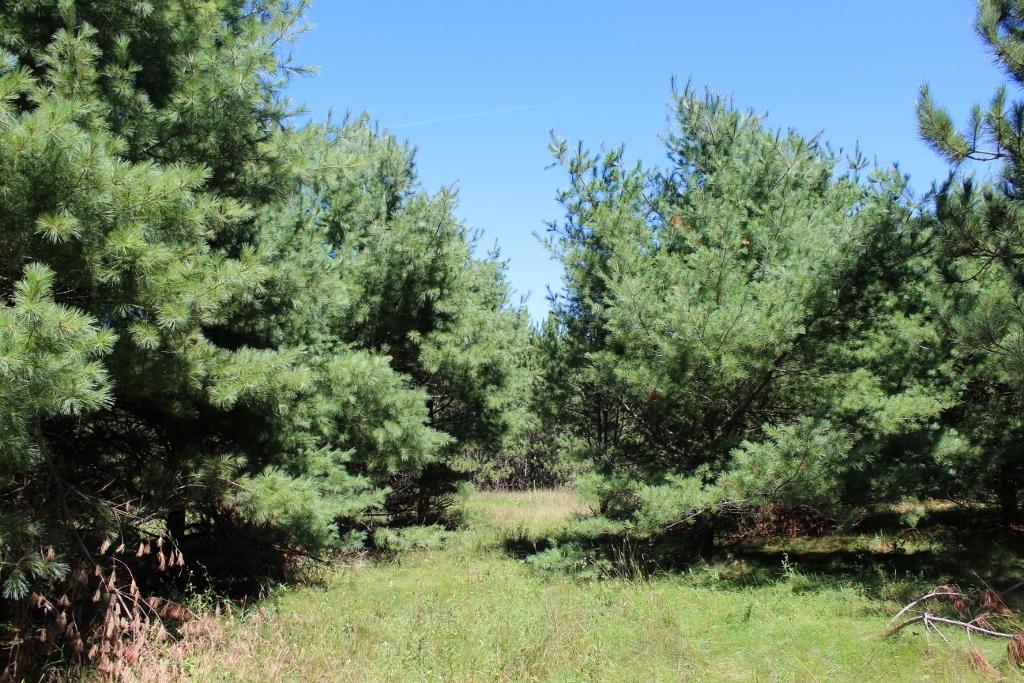 37 Ac. HWY 8