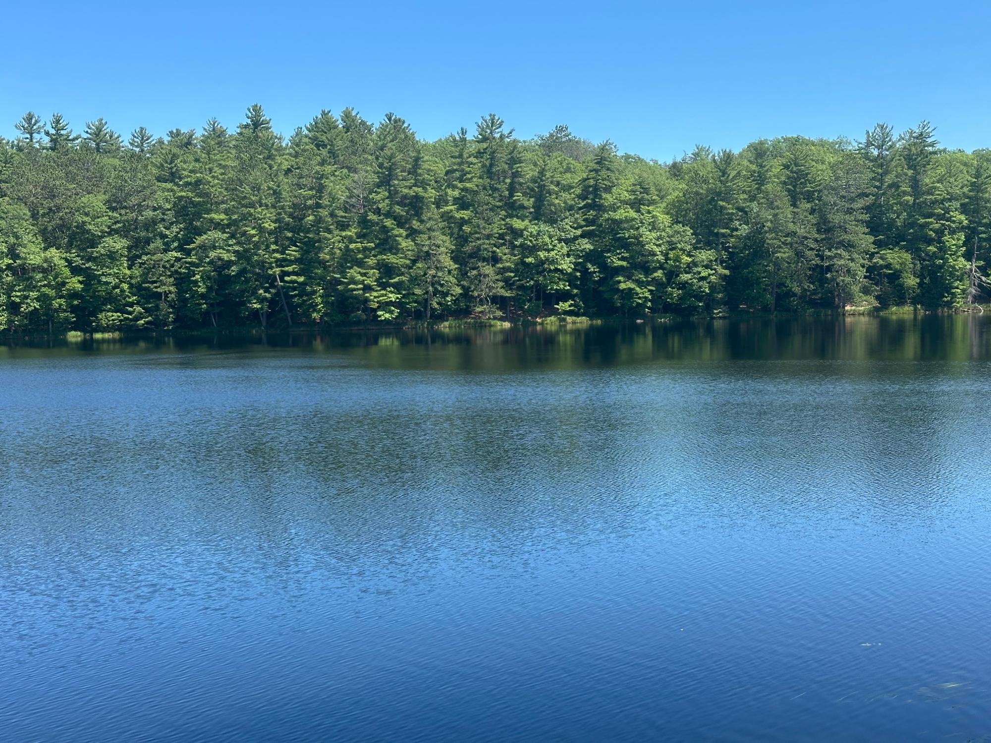 NEAR LONG LAKE RD S