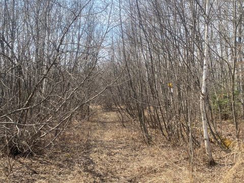 ON SKINNER CREEK LN Kennan WI 54537