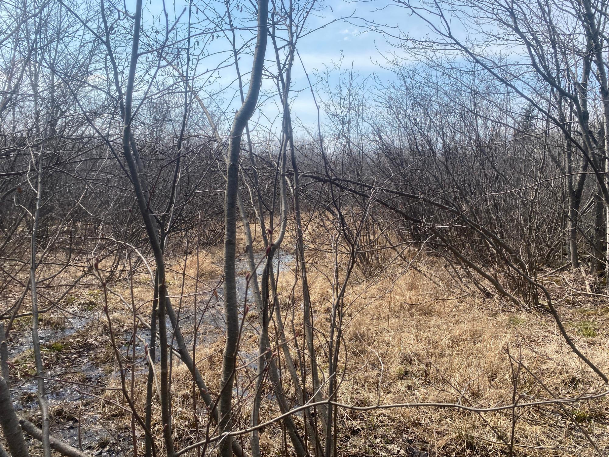 ON SKINNER CREEK LN