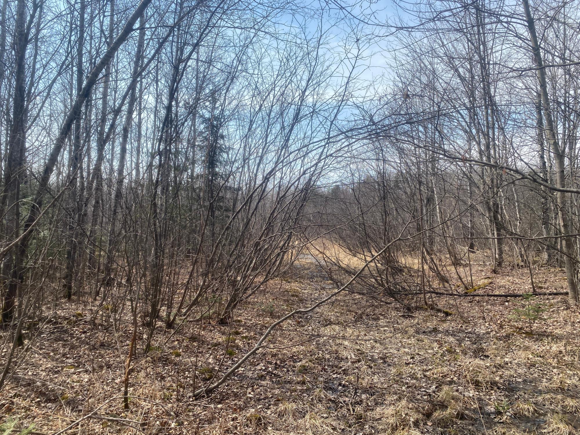 ON SKINNER CREEK LN