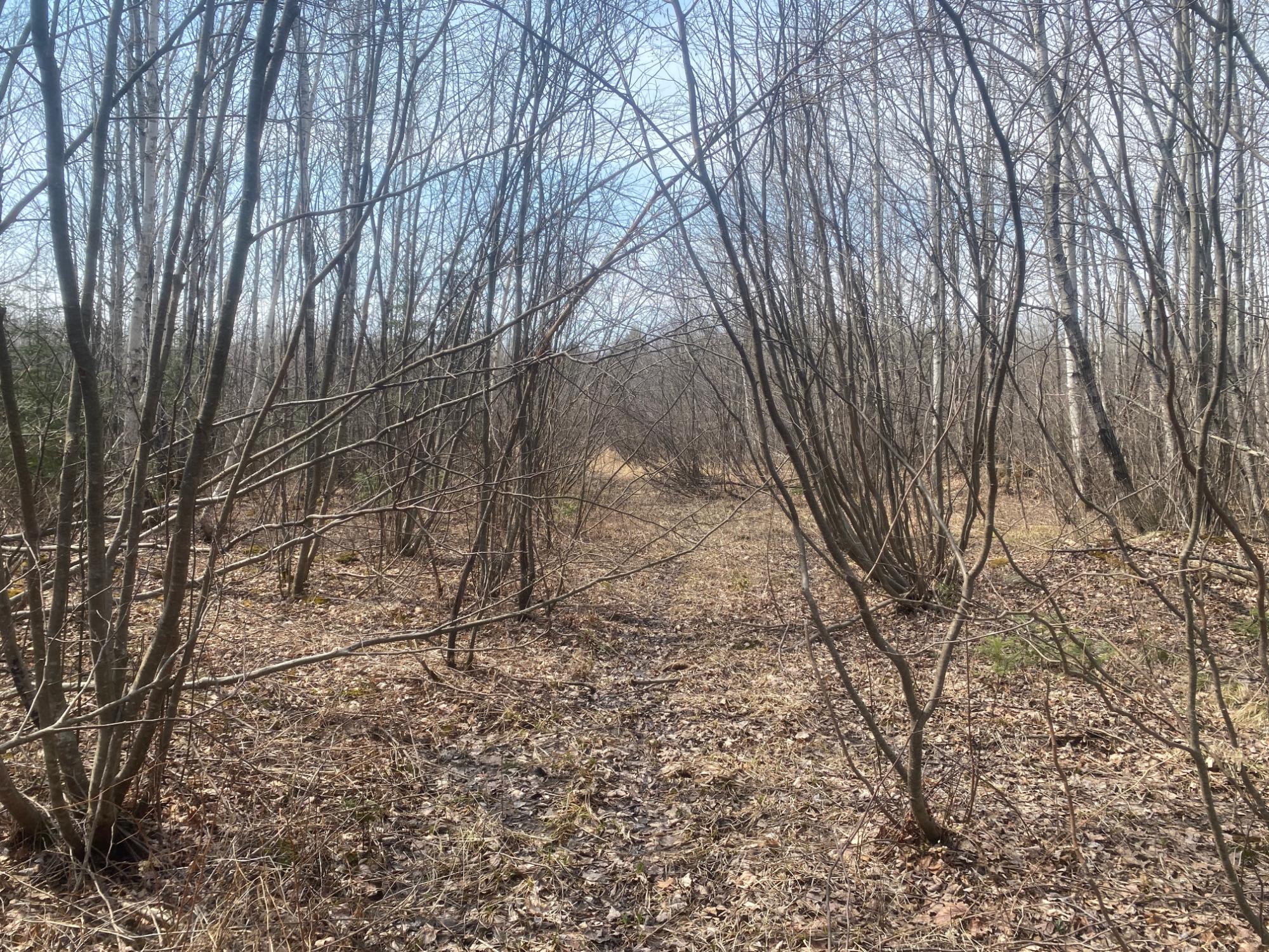 ON SKINNER CREEK LN