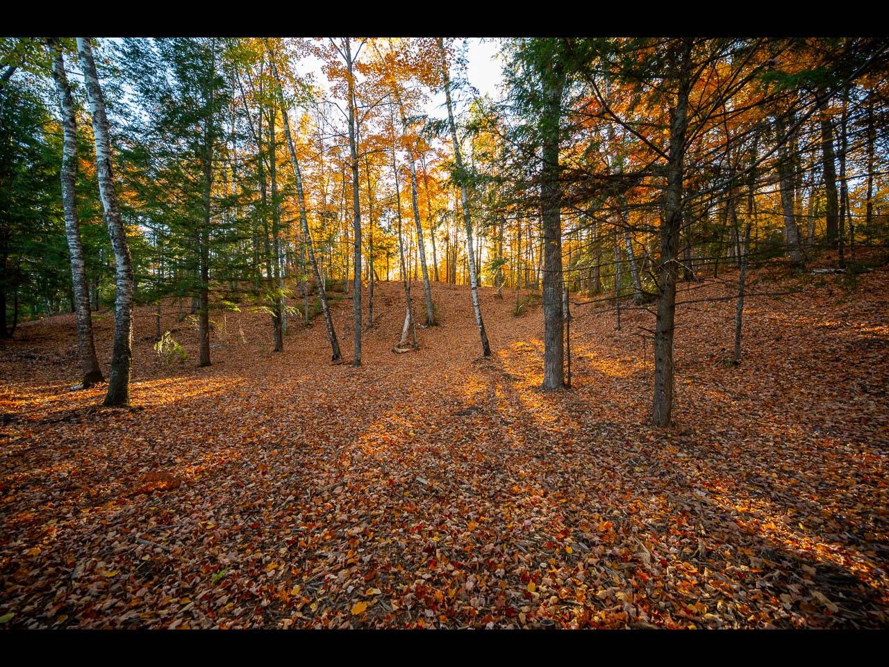 Lot 137 CLEARWATER LAKE TR