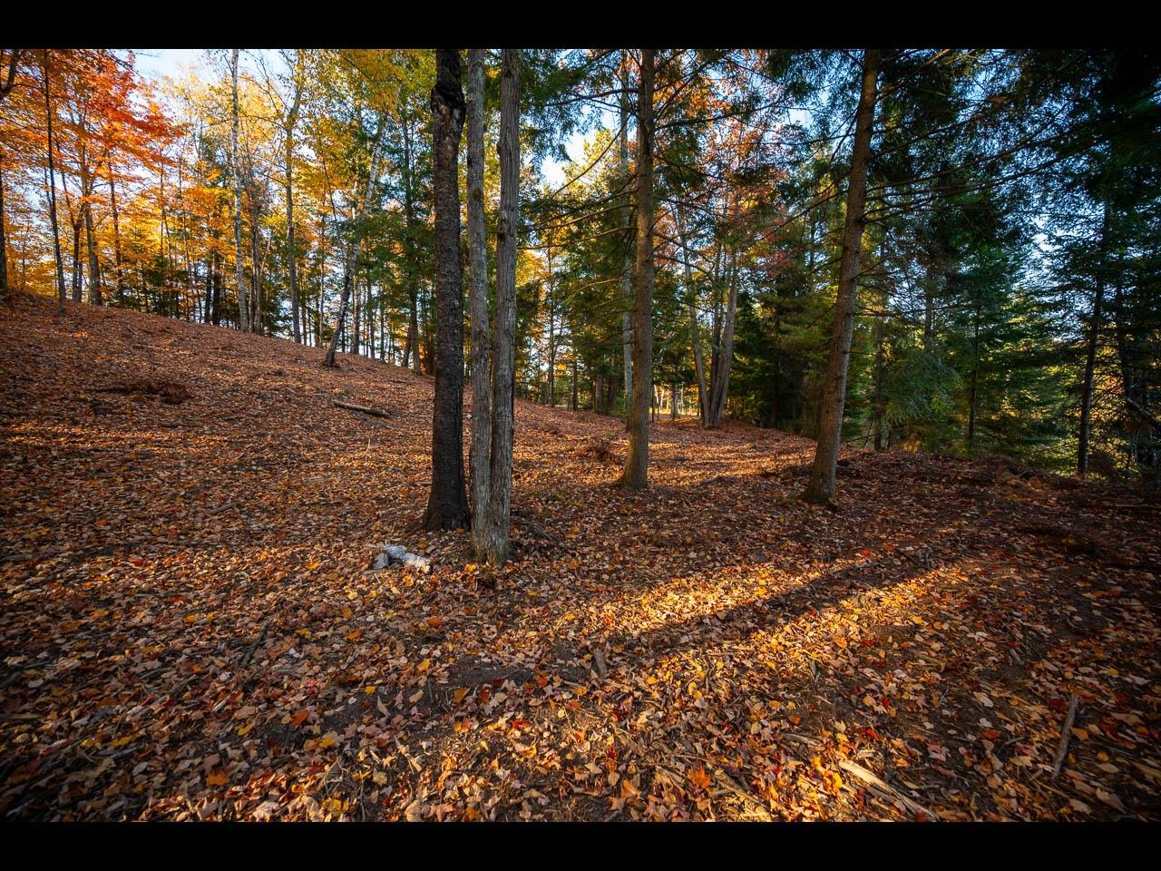 Lot 137 CLEARWATER LAKE TR