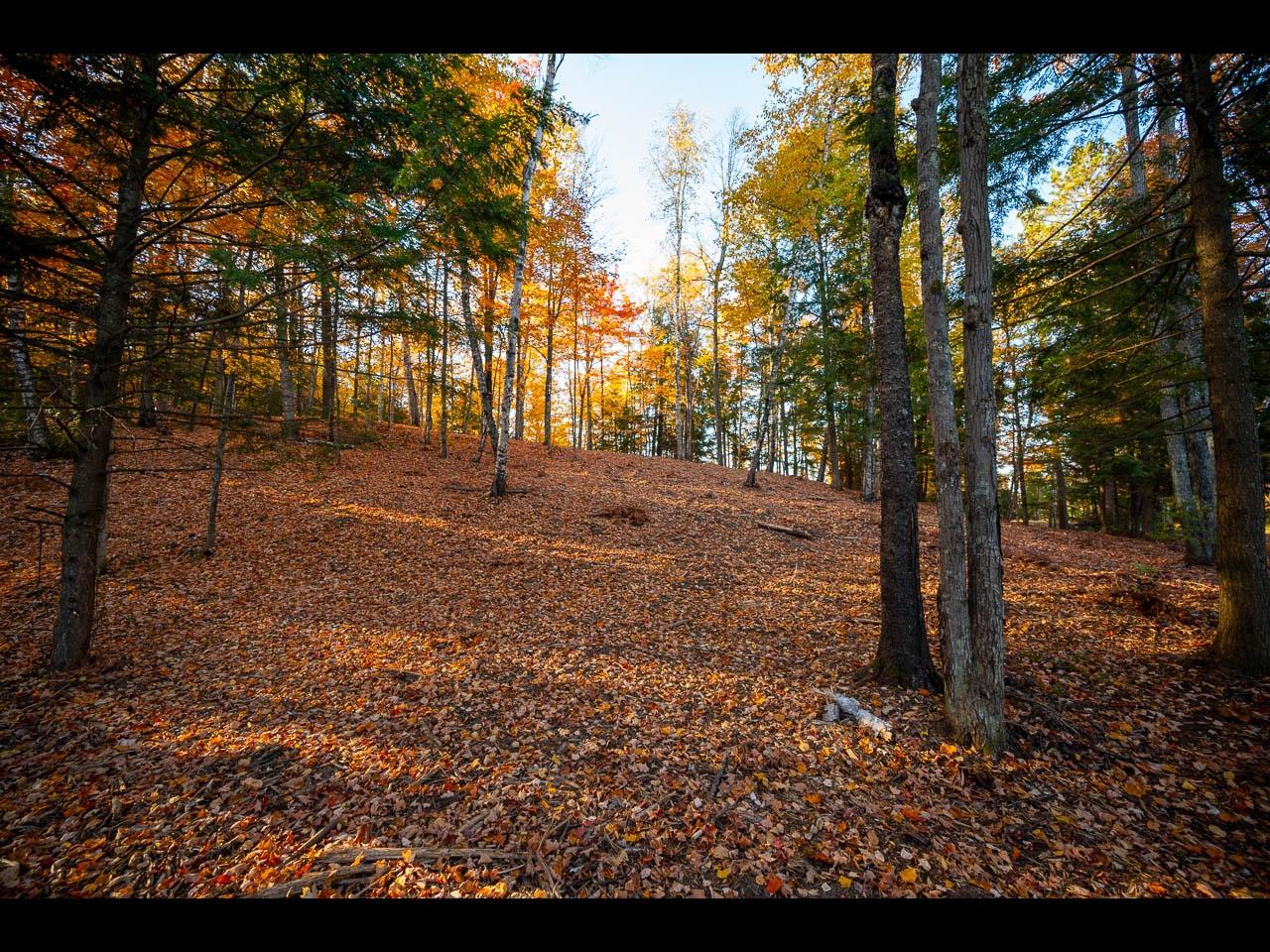 Lot 137 CLEARWATER LAKE TR