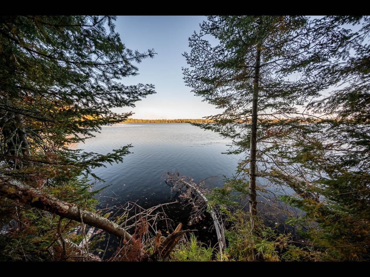 Lot 137 CLEARWATER LAKE TR
