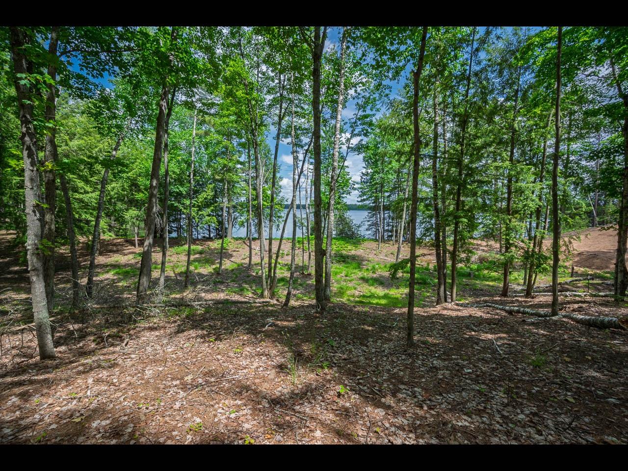 Lot 130 CLEARWATER LAKE TR