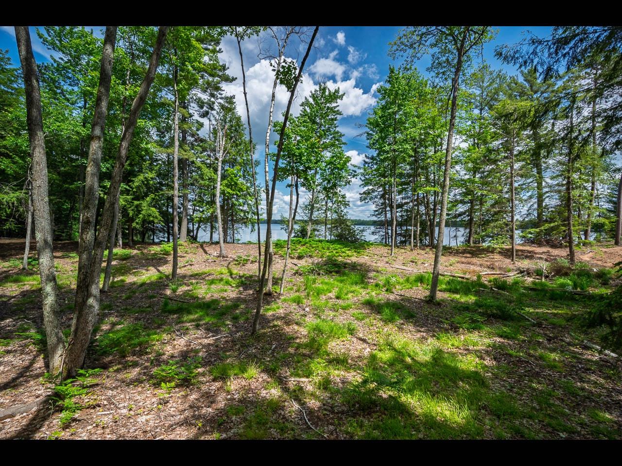 Lot 130 CLEARWATER LAKE TR