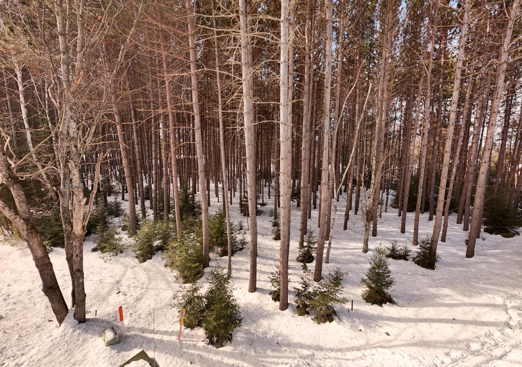 Lot 6 ON BONKOWSKI RD