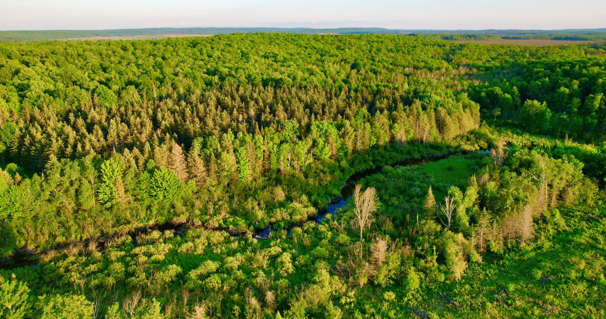 10 Acres CTH N