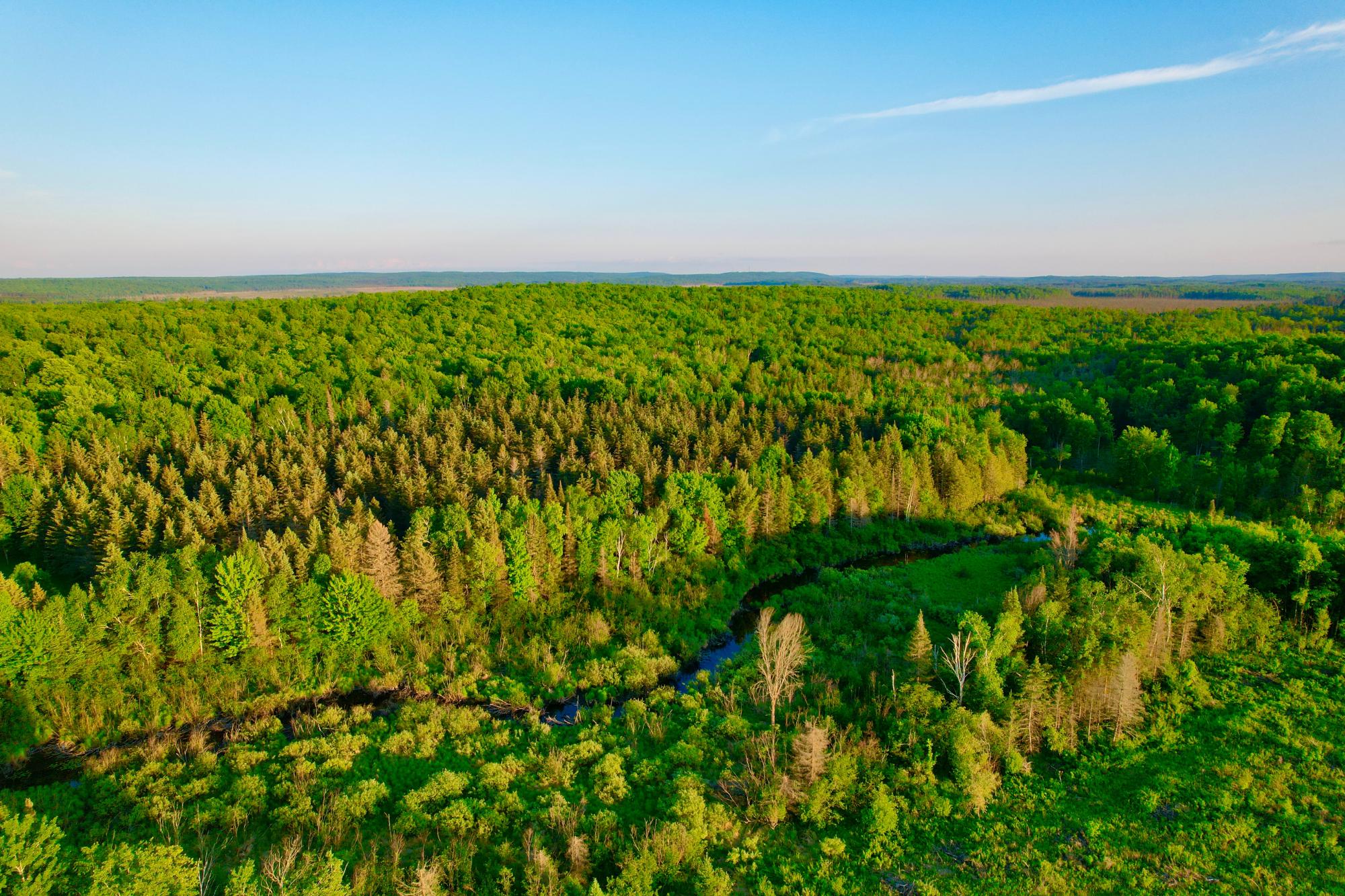 10 Acres CTH N