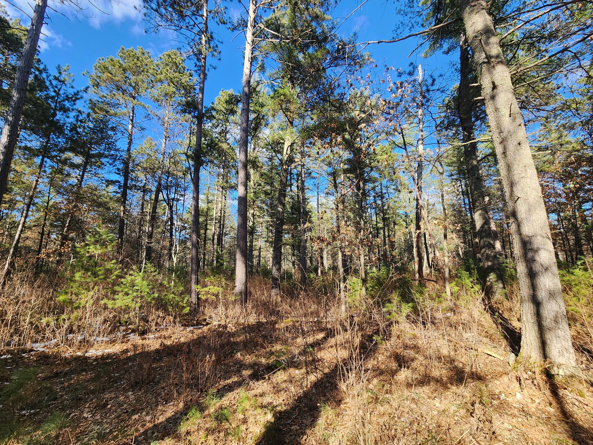 32 Acres HWY 70