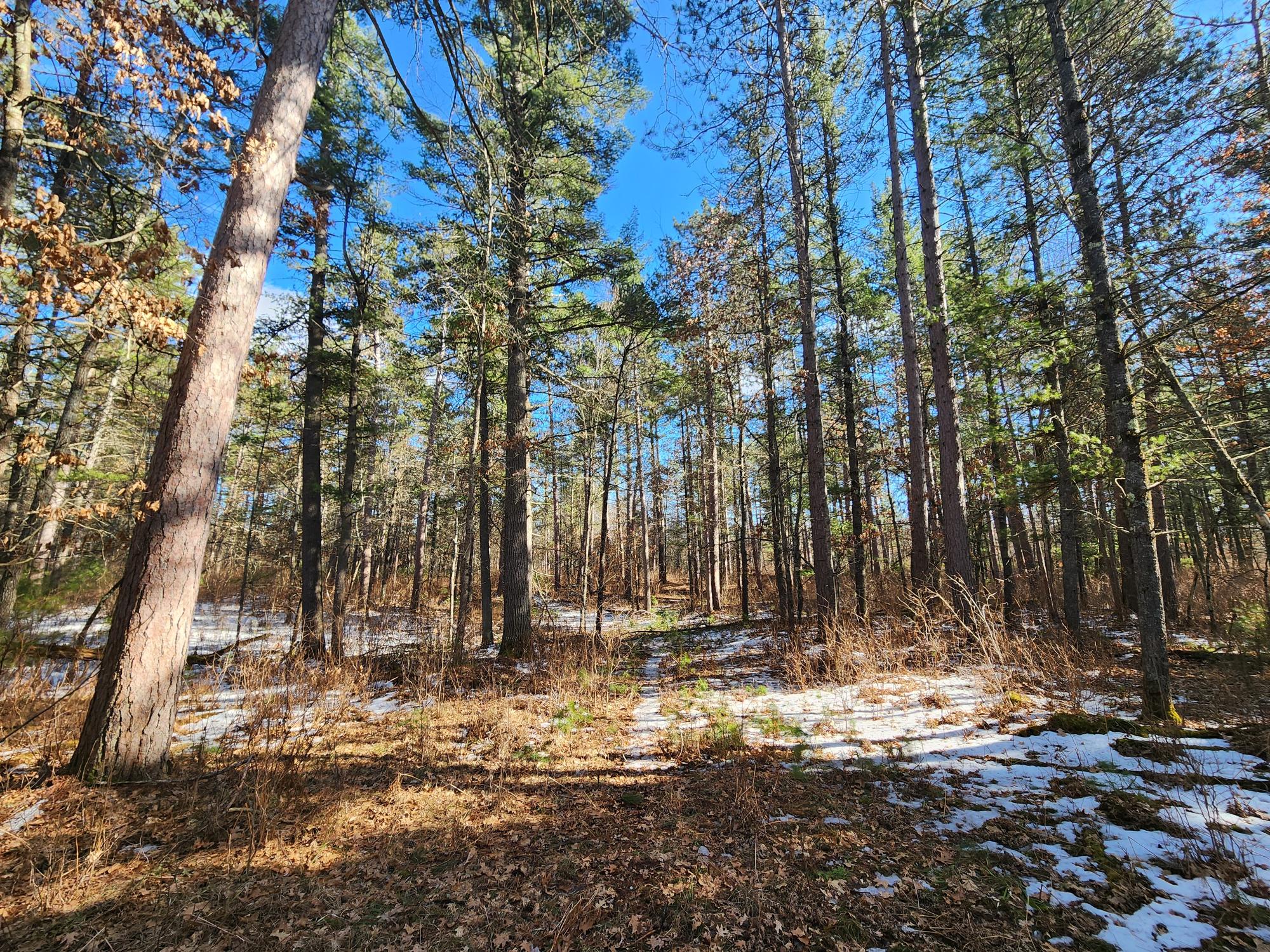 32 Acres HWY 70