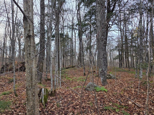 ADDRESS PRIVATE, WATERSMEET, MI 49969 - Image 48313eae86b049b550bdad4fcea2b52e/338066623