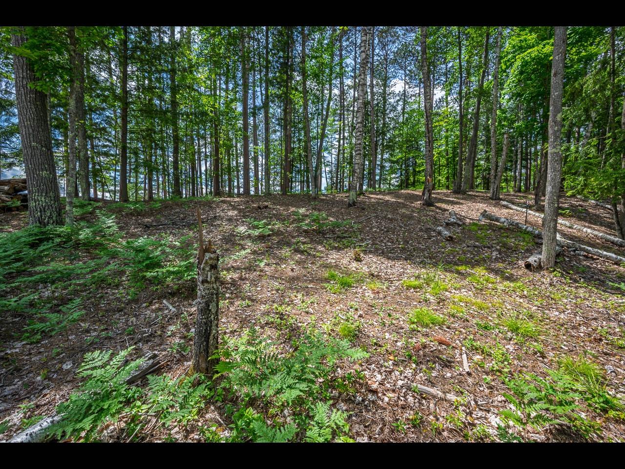 Lot 129 CLEARWATER LAKE TR