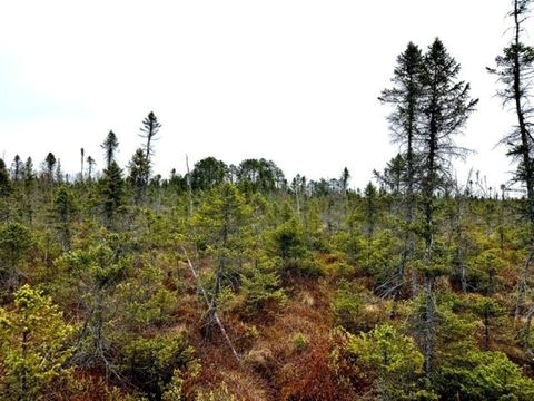 OFF JACKS RD Phillips WI 54555