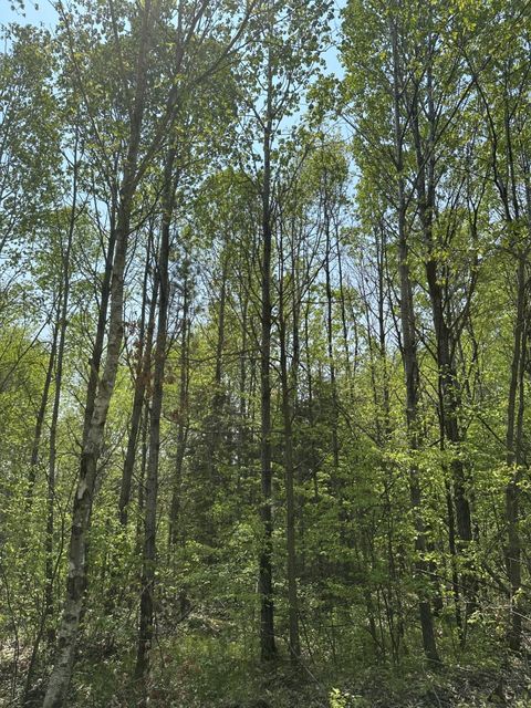 ON OTHER 8439-C  WI 54456