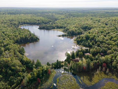 E27350 FOREST RD 3940 Watersmeet MI 49969
