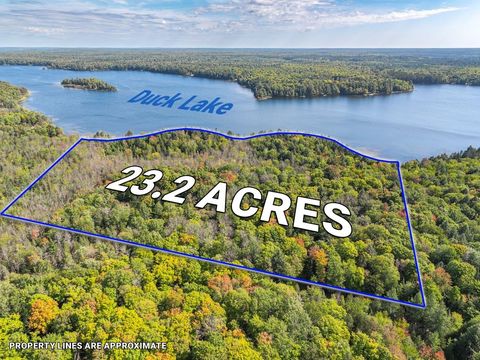 Off DUCK LAKE RD E Land O Lakes MI 49969