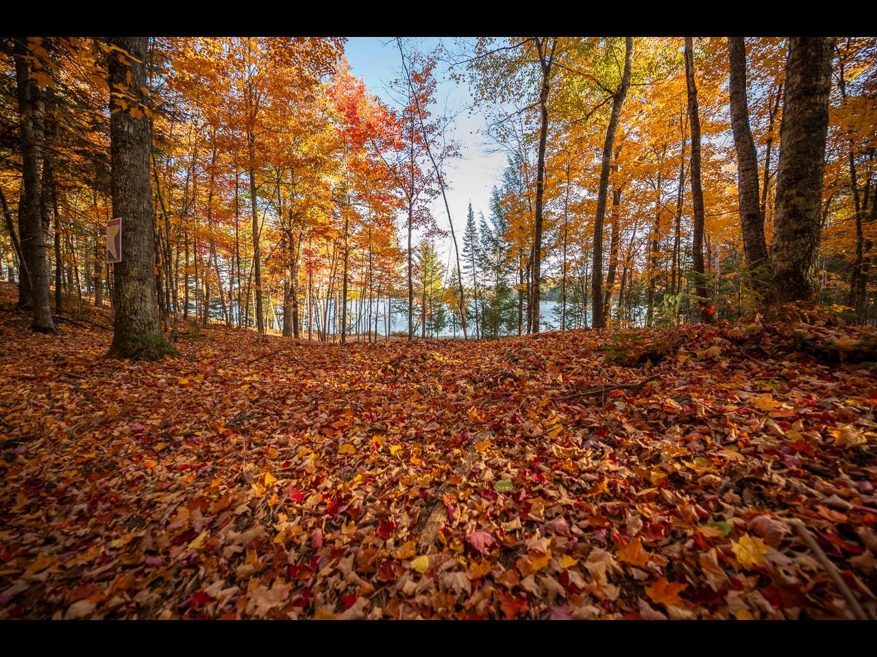 Lot 133 CLEARWATER LAKE TR