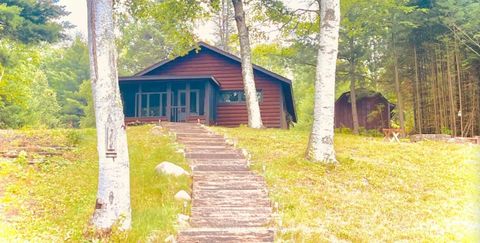 6789N CRAMER LAKE RD Mercer WI 54547