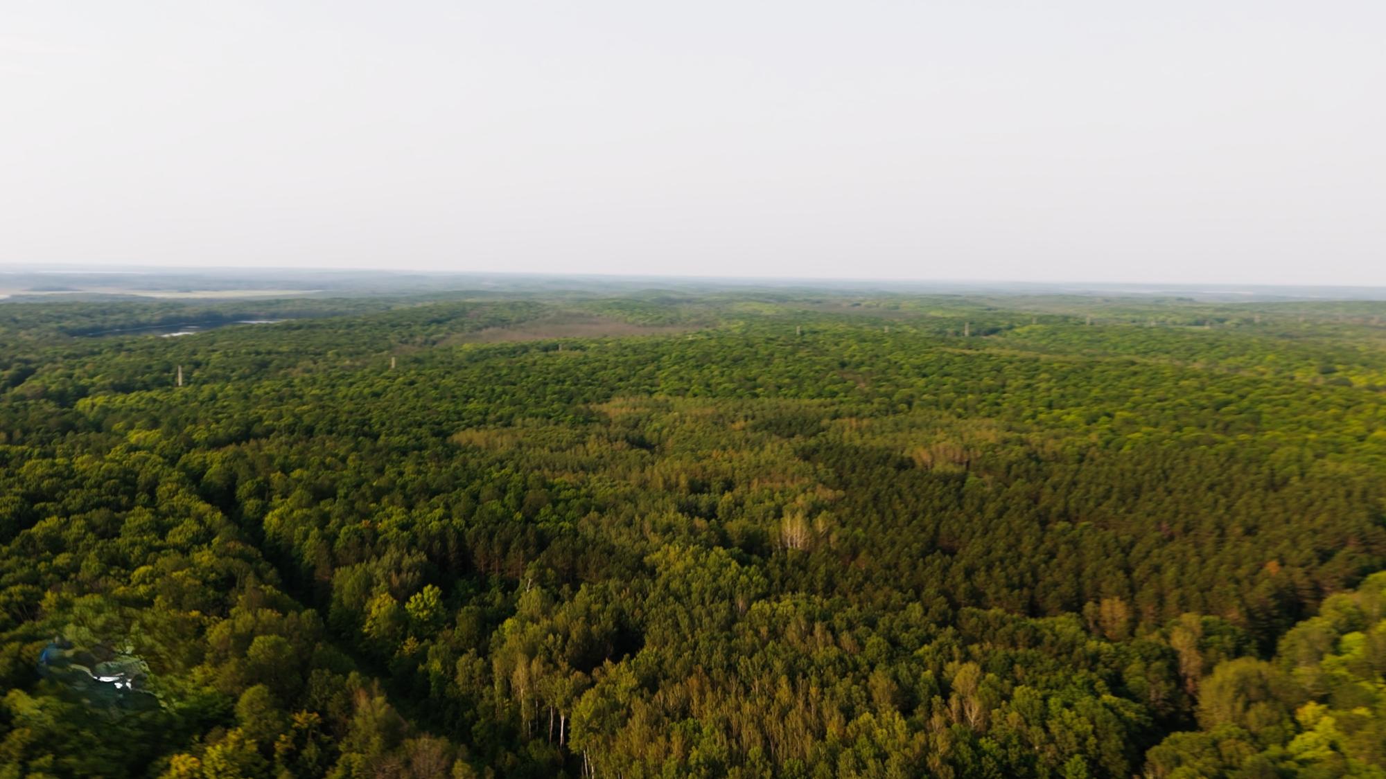 Lot 7 TOWER RD