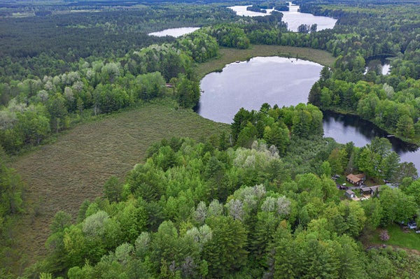 LOT 46 WHITETAILED DEER DR, TOMAHAWK, WI 54487 - Image 57e27d051b7eba69f376ecda3a578cf6/167014091