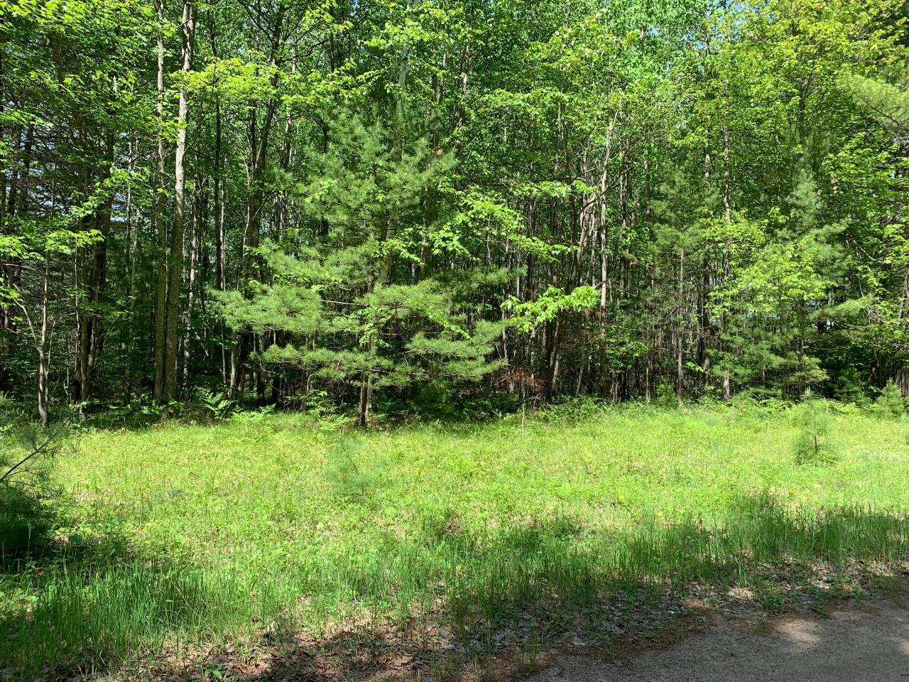 Lot 1 SOMO RIDGE DR