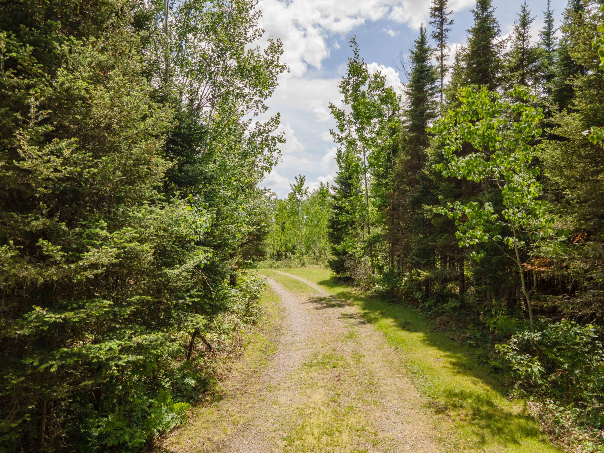 453 GOLD MINE RD