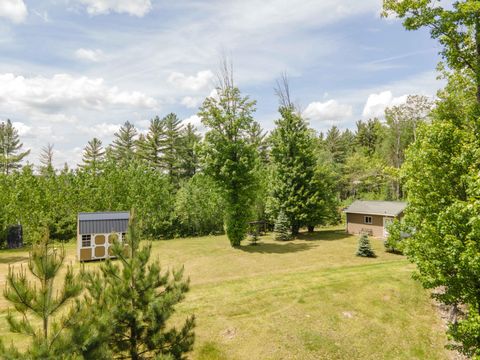 453 GOLD MINE RD Iron River MI 49935