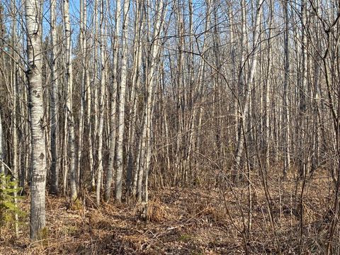 NEAR BEAR LAKE RD Butternut WI 54514