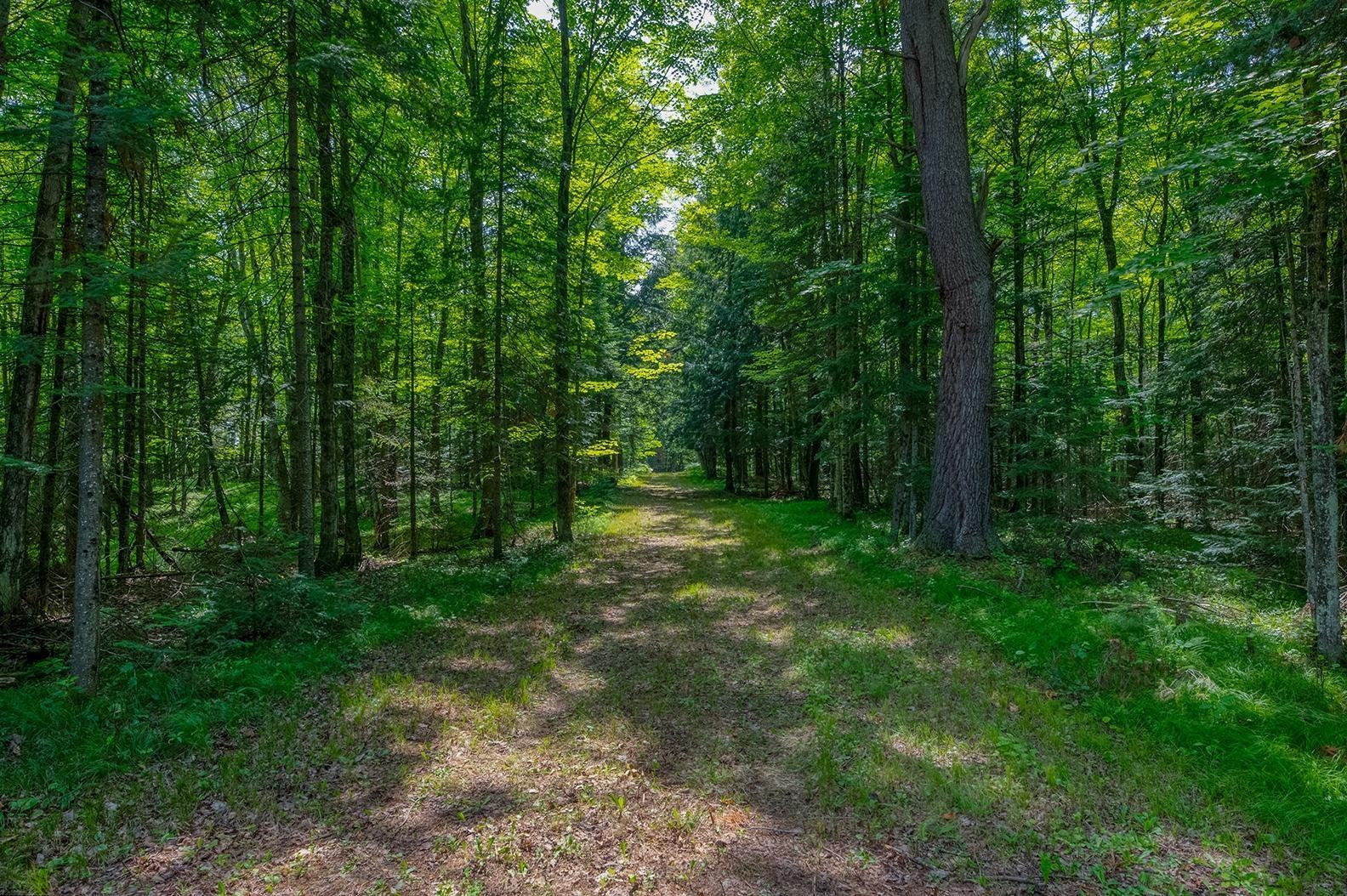 Lot 13 CRANES RD