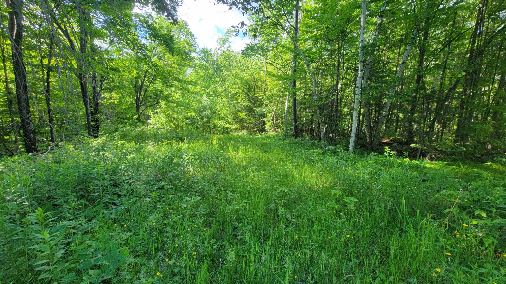 ON HUNTING RIVER RD
