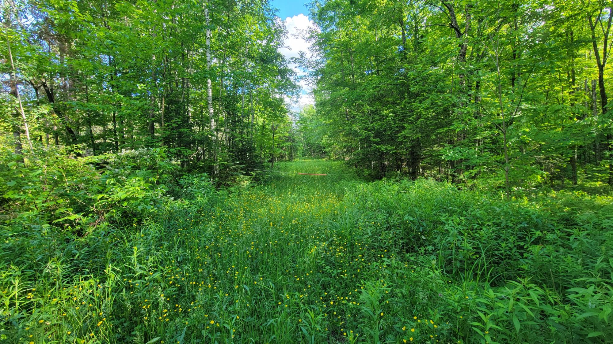 ON HUNTING RIVER RD