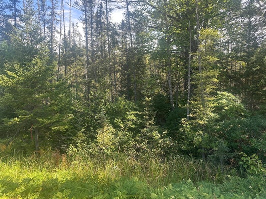 4788 STH 17, RHINELANDER, WI 54501 - Image 6944c7182a60eb89d51d2d8ea3cfb9b3/3122105454