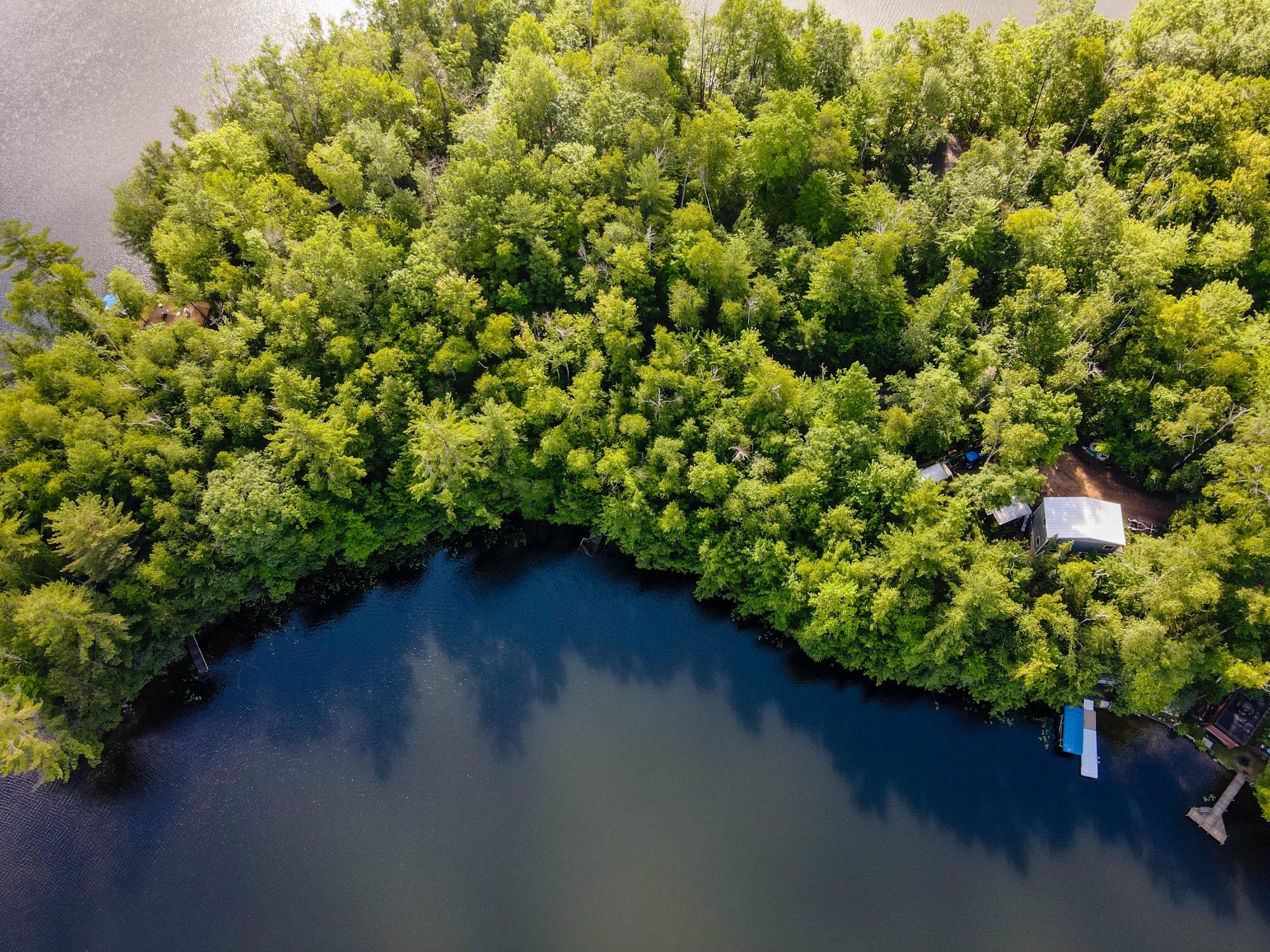 N8481 BOG LAKE RD